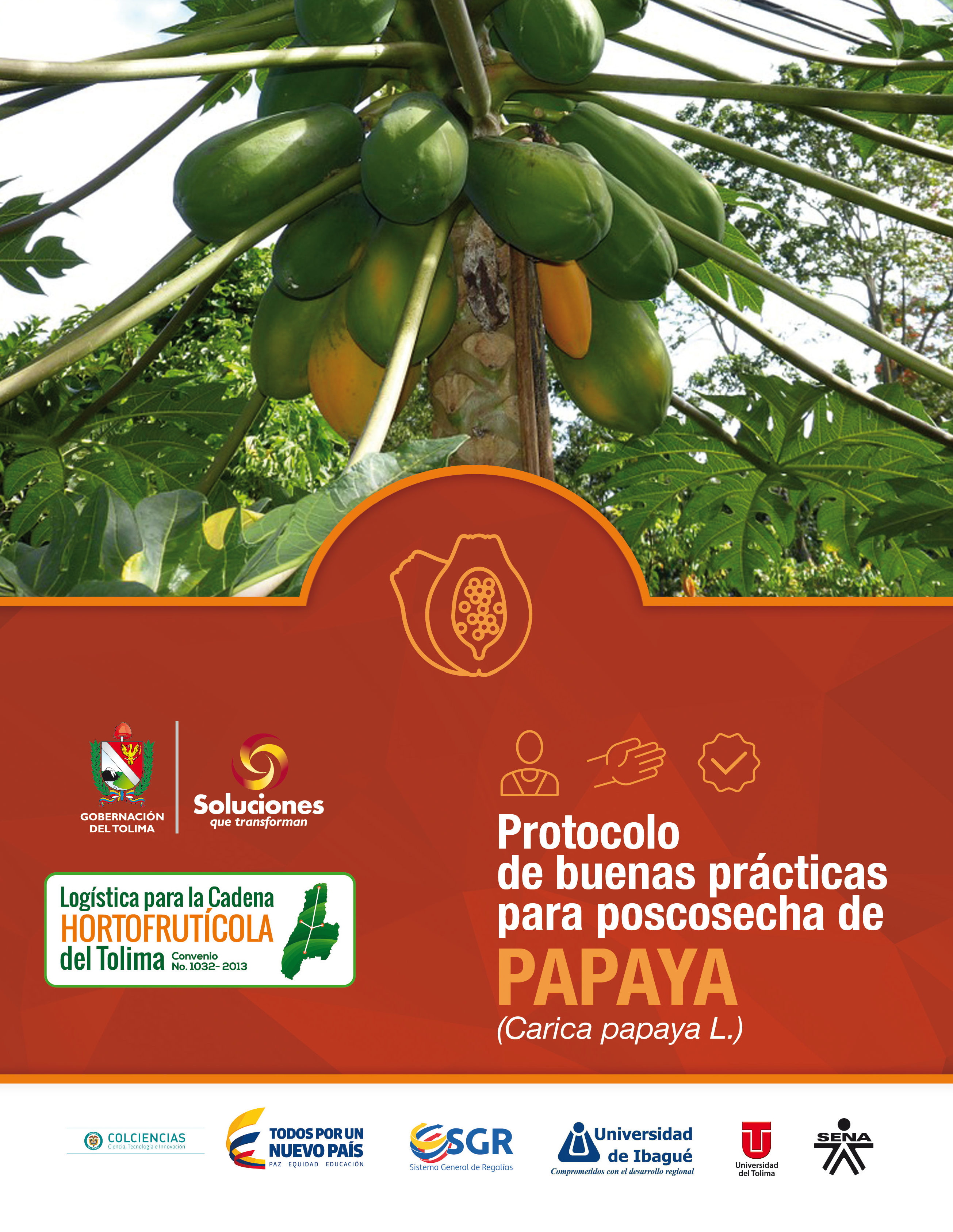 Cover of Protocolo de buenas prácticas para poscosecha de papaya